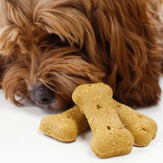 Peanut Butter Doggy Bone Biscuits - 3 pack